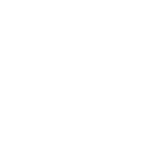 Logo The Italian Shoe